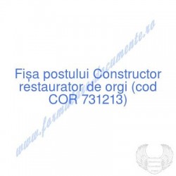 Constructor restaurator de...