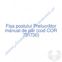 Prelucrător manual de păr...