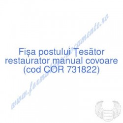 Ţesător restaurator manual...