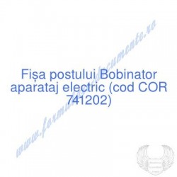 Bobinator aparataj electric...