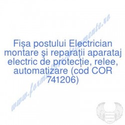 Electrician montare şi...