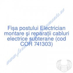 Electrician montare şi...