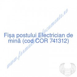 Electrician de mină (cod...