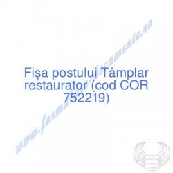 Tâmplar restaurator (cod...