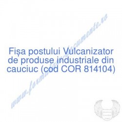 Vulcanizator de produse...