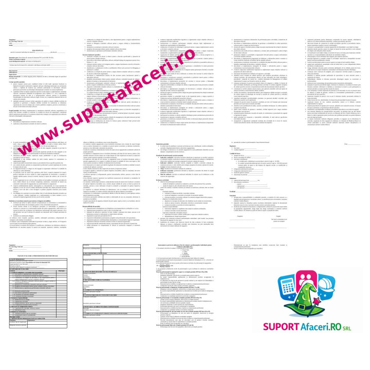 Fișa postului Dezvoltator de sisteme în domeniul tic – model editabil DOC