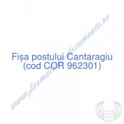 Cantaragiu (cod COR 962301)...