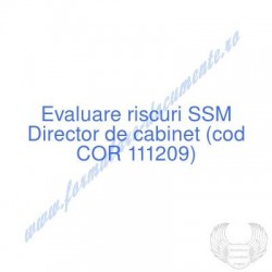 Director de cabinet (cod...