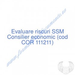 Consilier economic (cod COR...