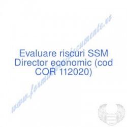 Director economic (cod COR...