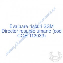 Director resurse umane (cod...