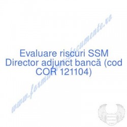 Director adjunct bancă (cod...