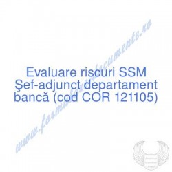 Şef-adjunct departament...