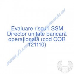 Director unitate bancară...