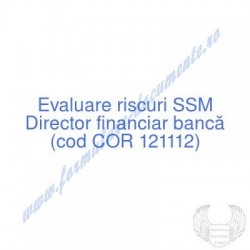 Director financiar bancă...