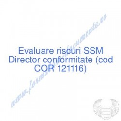 Director conformitate (cod...