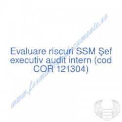 Şef executiv audit intern...