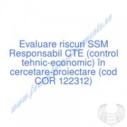 Responsabil CTE (control...