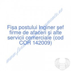 Inginer şef firme de...