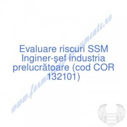 Inginer-şef industria...