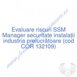 Manager securitate...