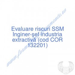 Inginer-şef industria...