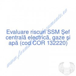 Şef centrală electrică,...