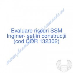 Inginer- şef în construcţii...