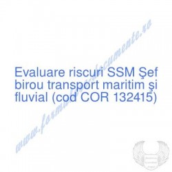 Şef birou transport maritim...