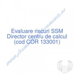 Director centru de calcul...