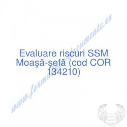 Moaşă-şefă (cod COR 134210)...