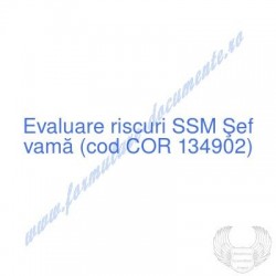 Şef vamă (cod COR 134902) -...