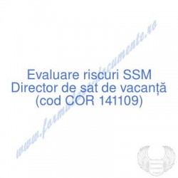 Director de sat de vacanţă...