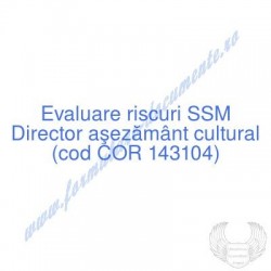 Director aşezământ cultural...