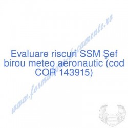 Şef birou meteo aeronautic...