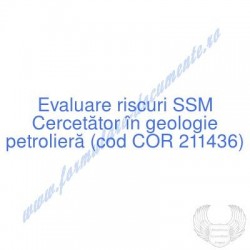 Cercetător în geologie...