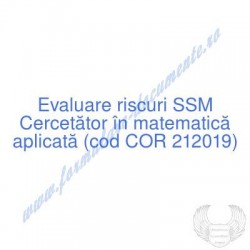 Cercetător în matematică...