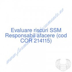 Responsabil afacere (cod...