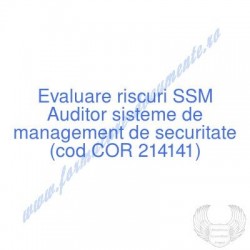 Auditor sisteme de...