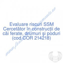 Cercetător în construcţii...