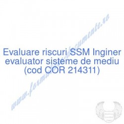 Inginer evaluator sisteme...