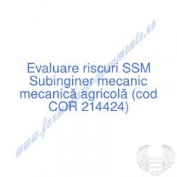 Subinginer mecanic mecanică...