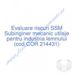 Subinginer mecanic utilaje...