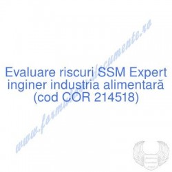 Expert inginer industria...