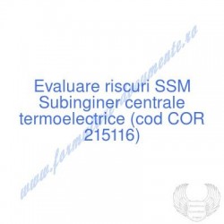 Subinginer centrale...