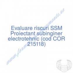 Proiectant subinginer...