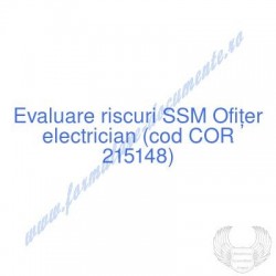 Ofițer electrician (cod COR...