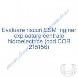 Inginer exploatare centrale...