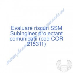 Subinginer proiectant...