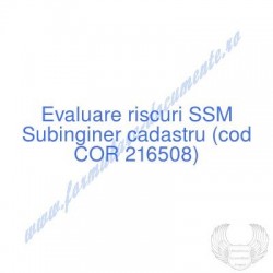 Subinginer cadastru (cod...